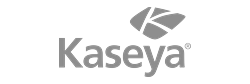 Kaseya